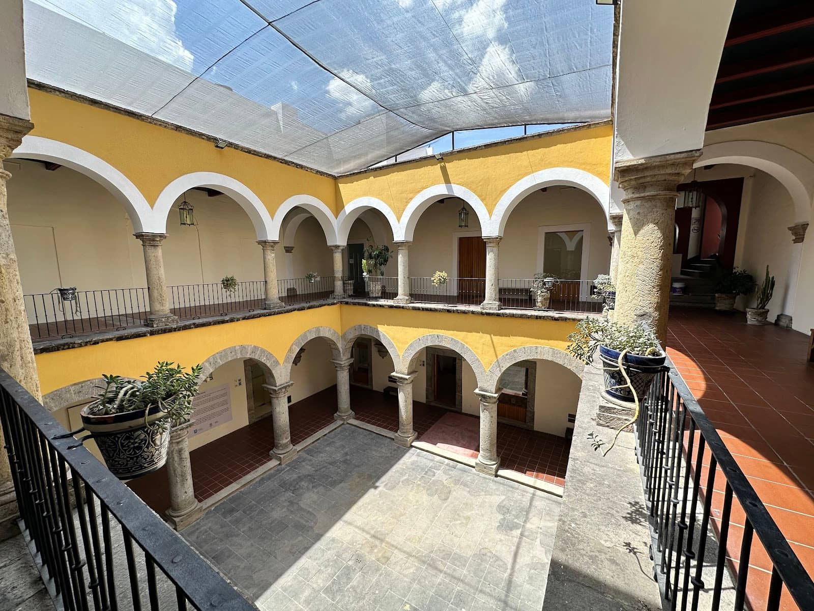 Contemporary Art Displays