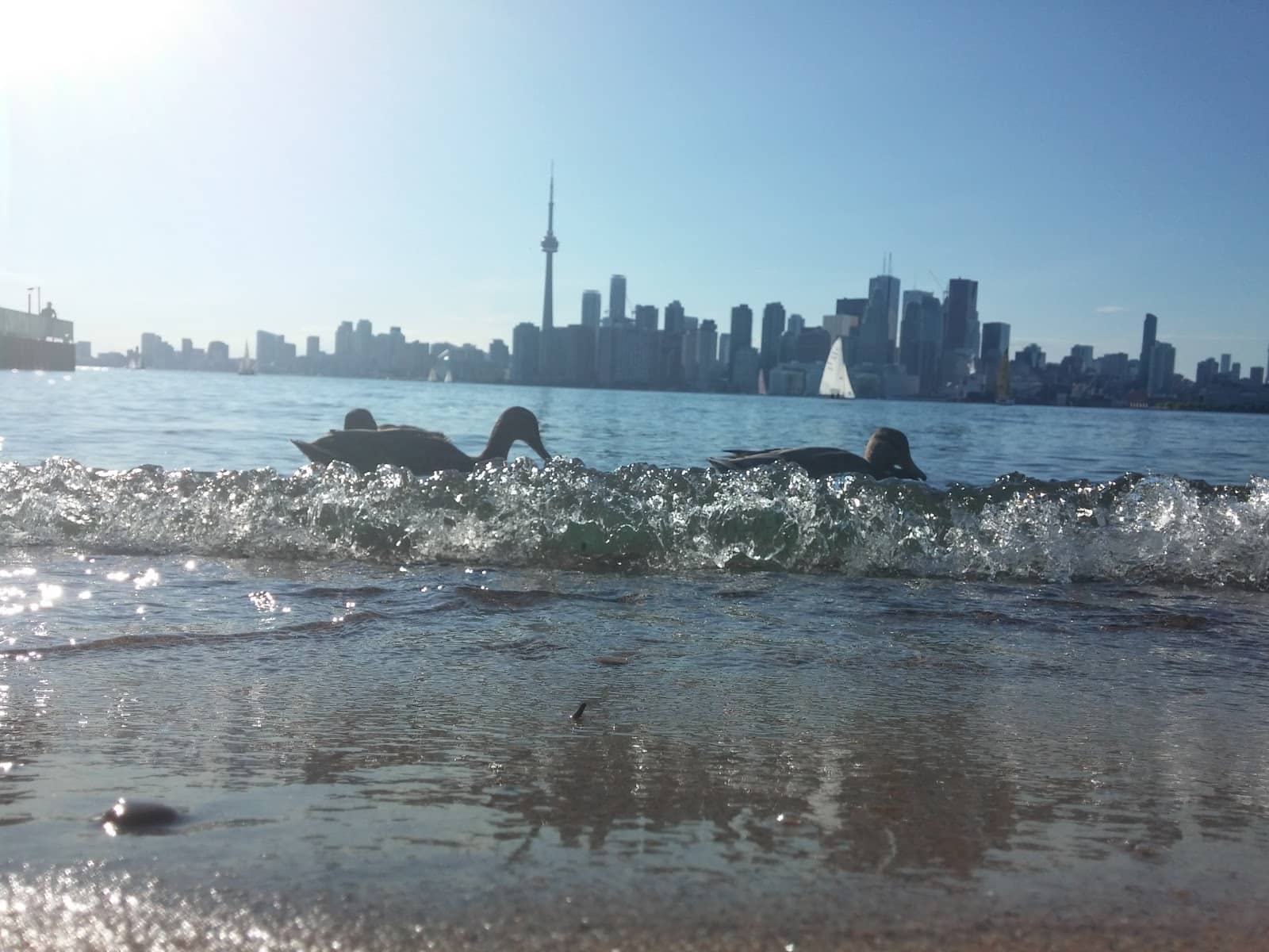 Third hero image