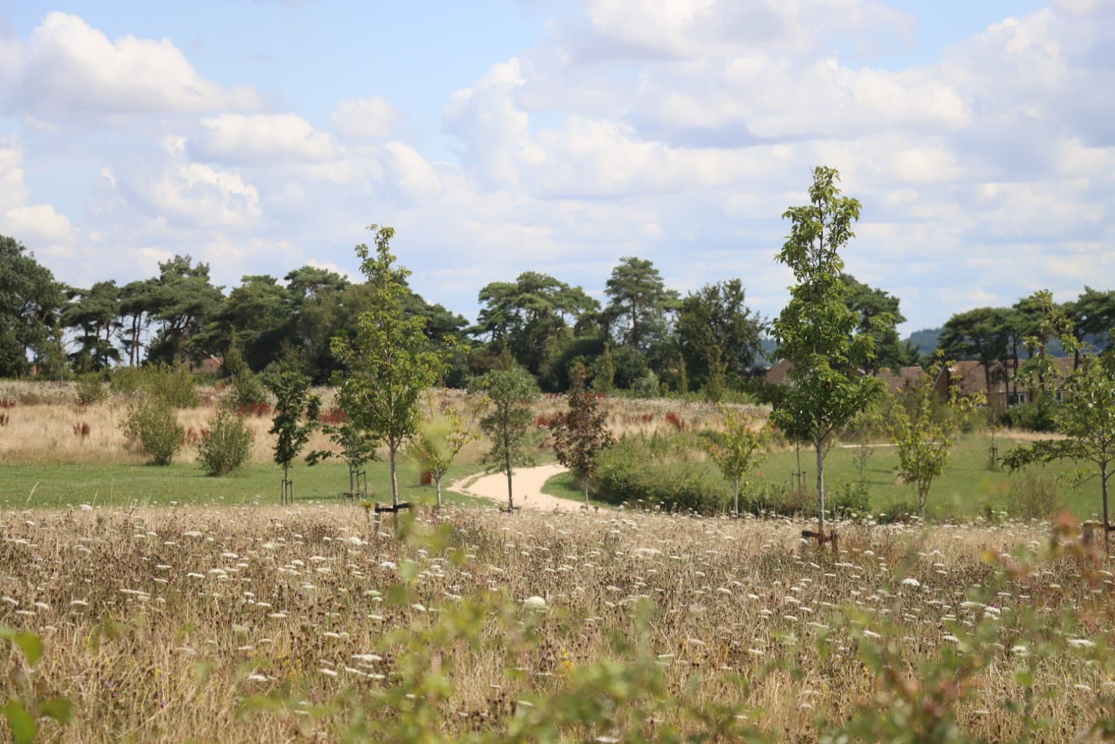 The Great Field Poundbury - Image 1