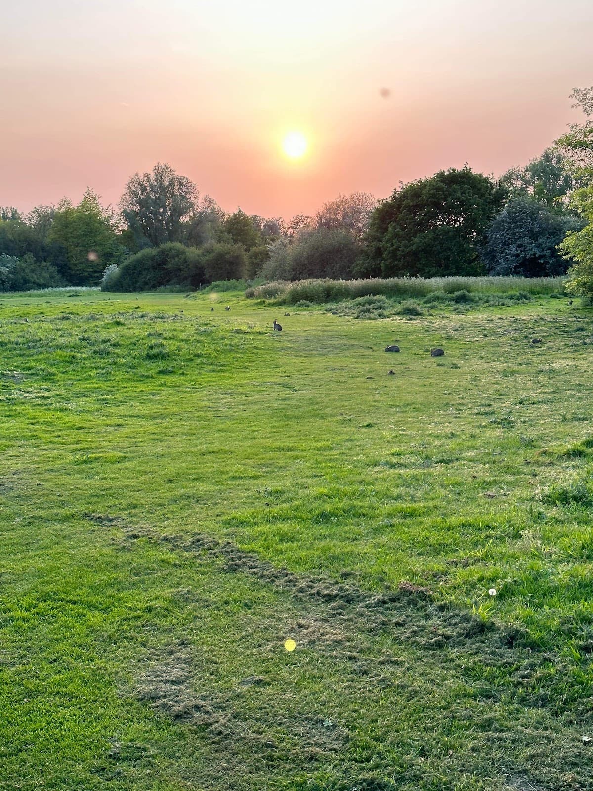 Elms Farm Park, Heybridge - Image 1