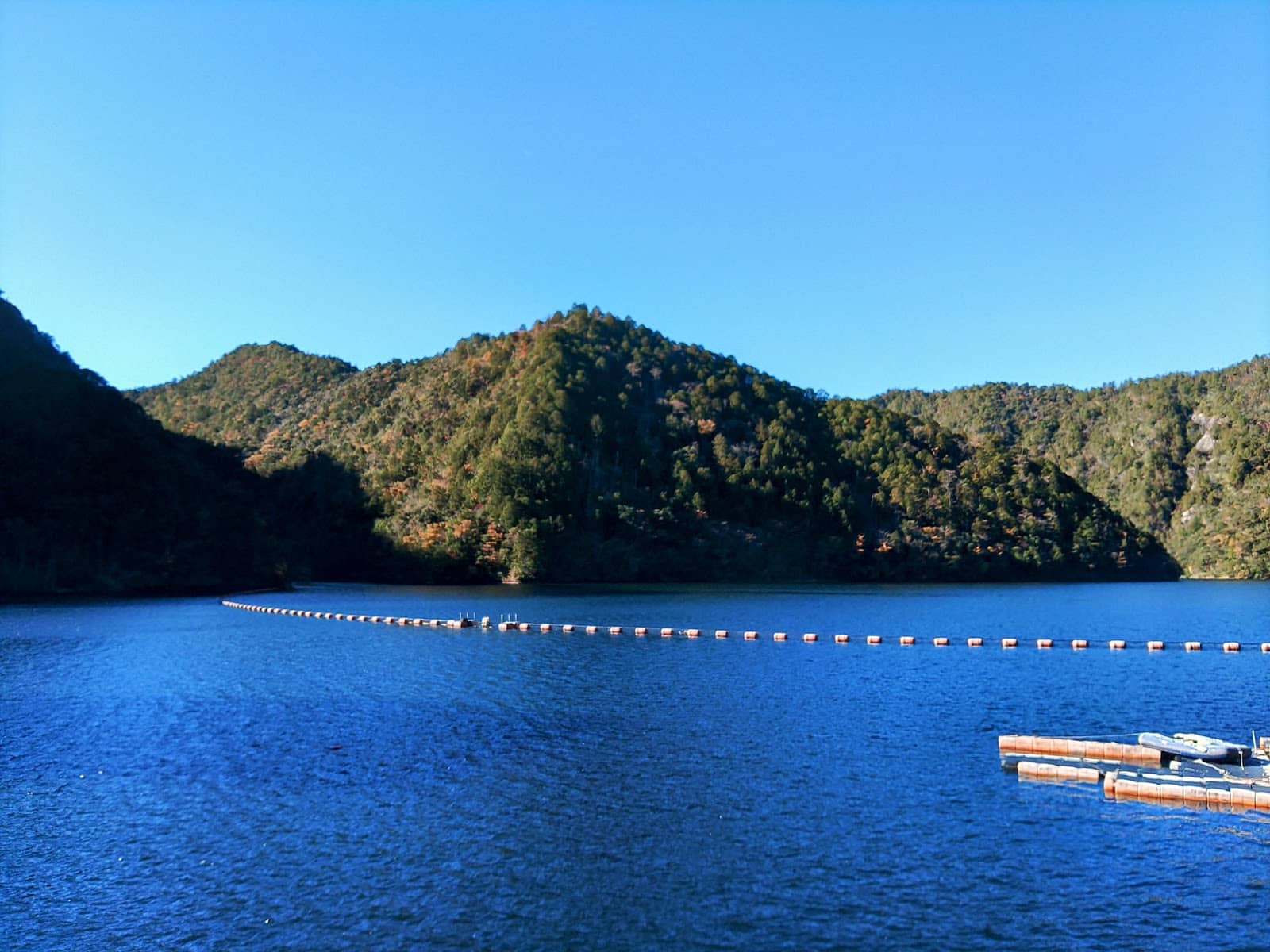 Autumn Foliage Spectacle