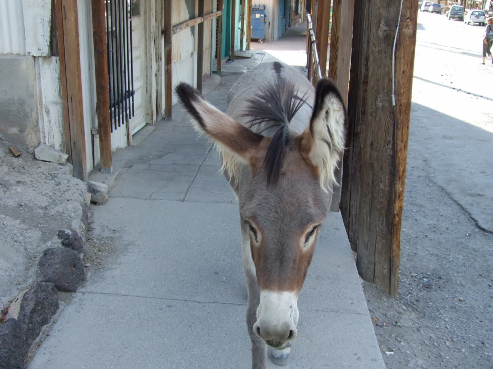 Calico Ghost Town - Image 1