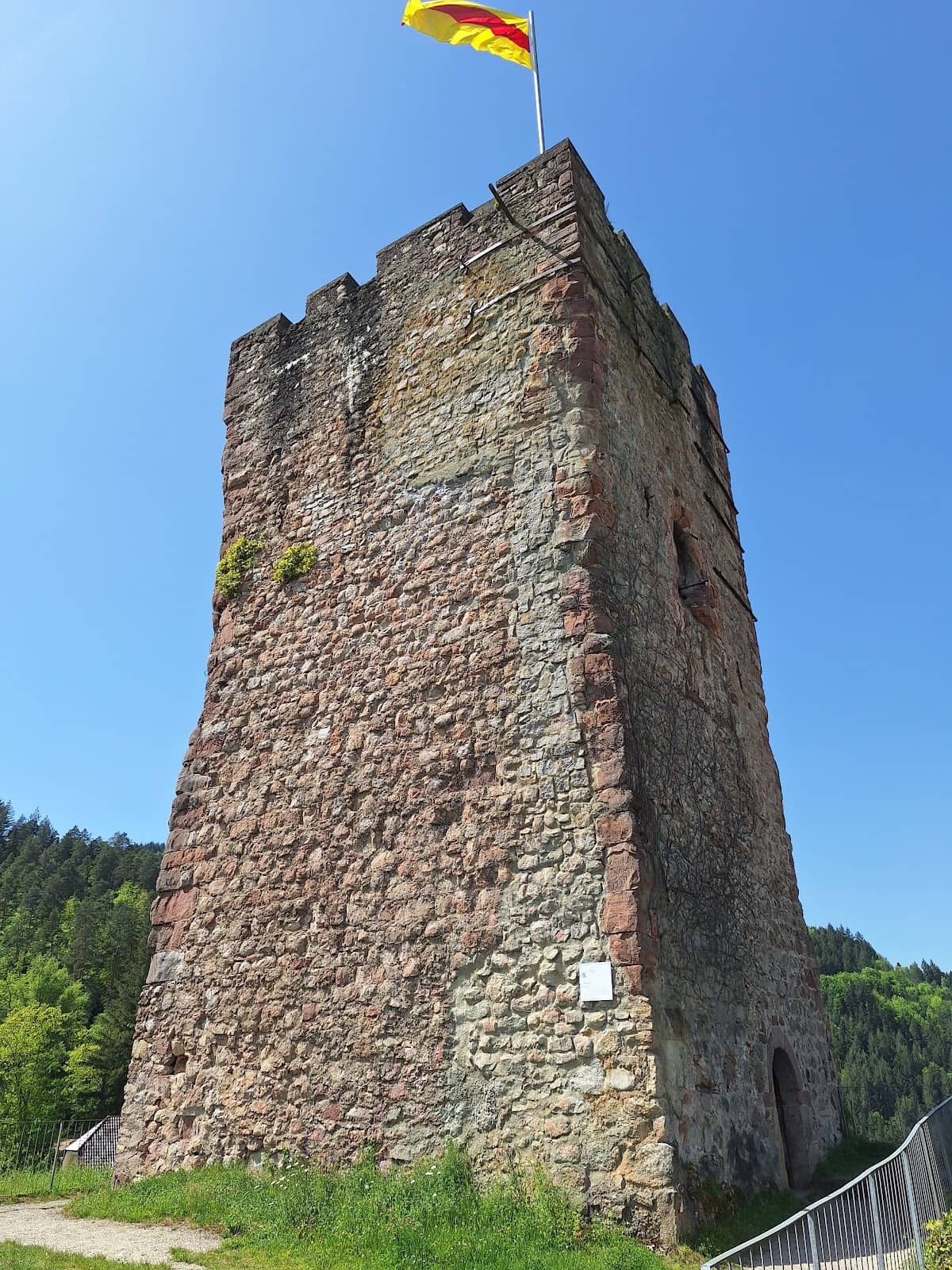 Vertical photo