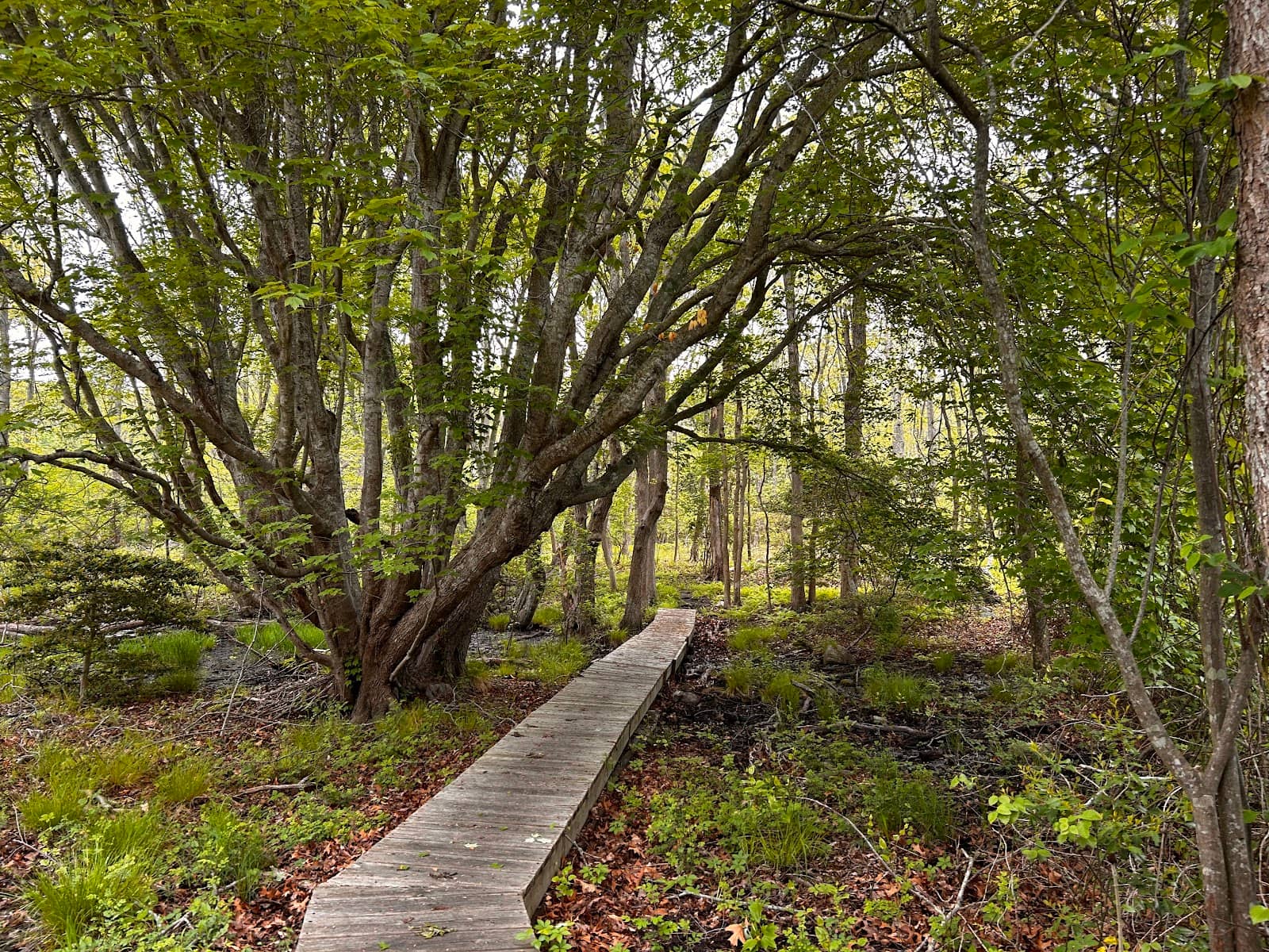 Birdwatching Paradise