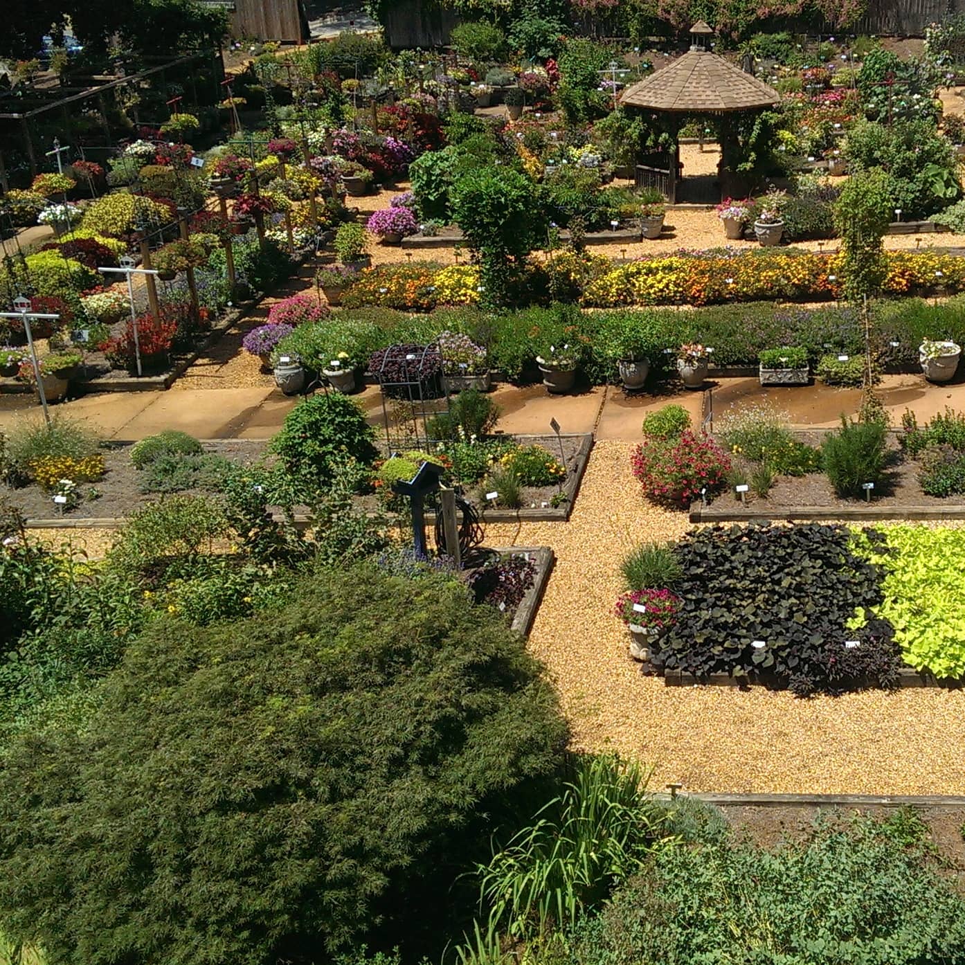 Diverse Floral Collections