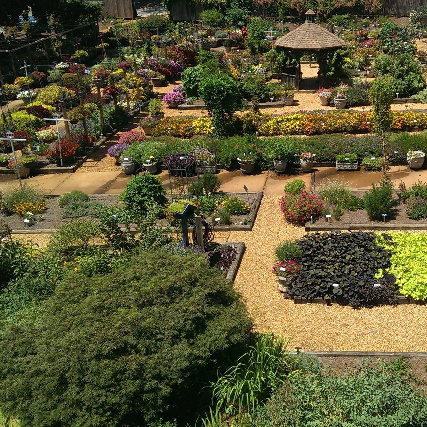 Trial Gardens, Athens - Image 1