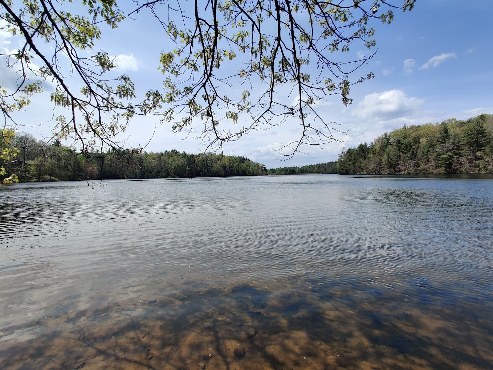 Lake Julia DuPont - Image 1