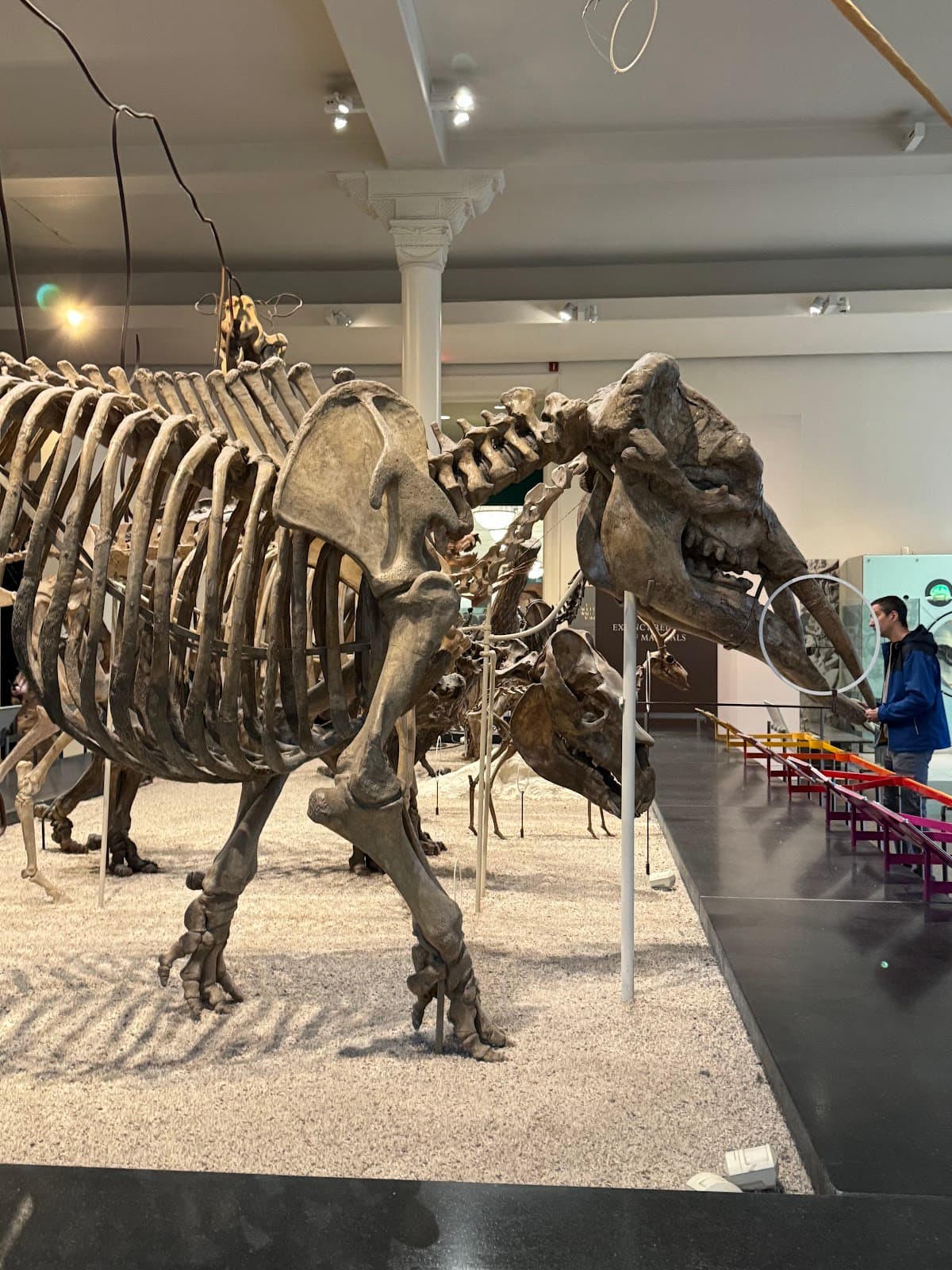 Origami Museum - Image 1