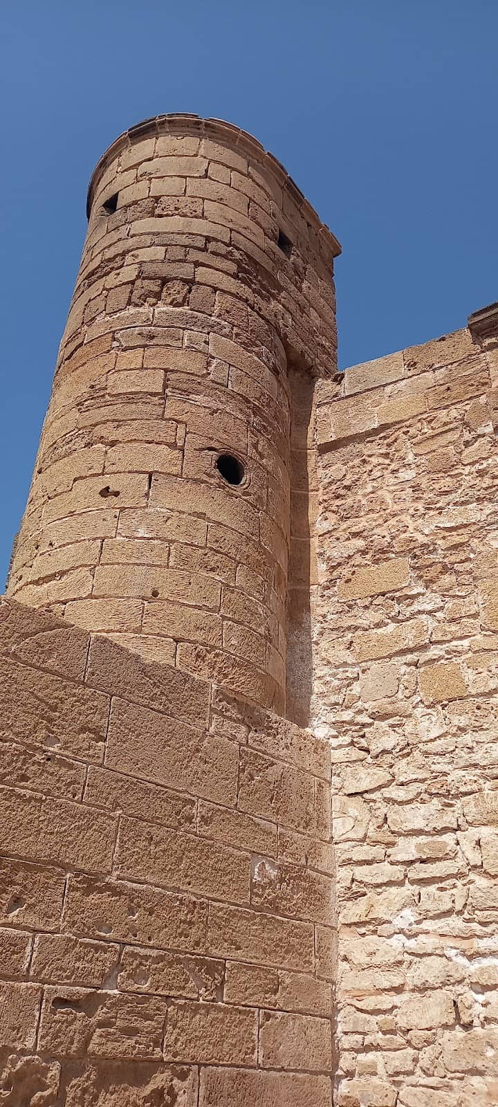 Vertical photo
