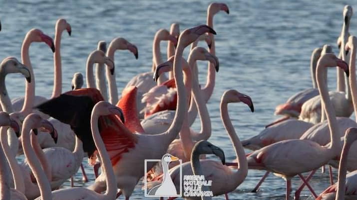 Biodiversity Hotspot