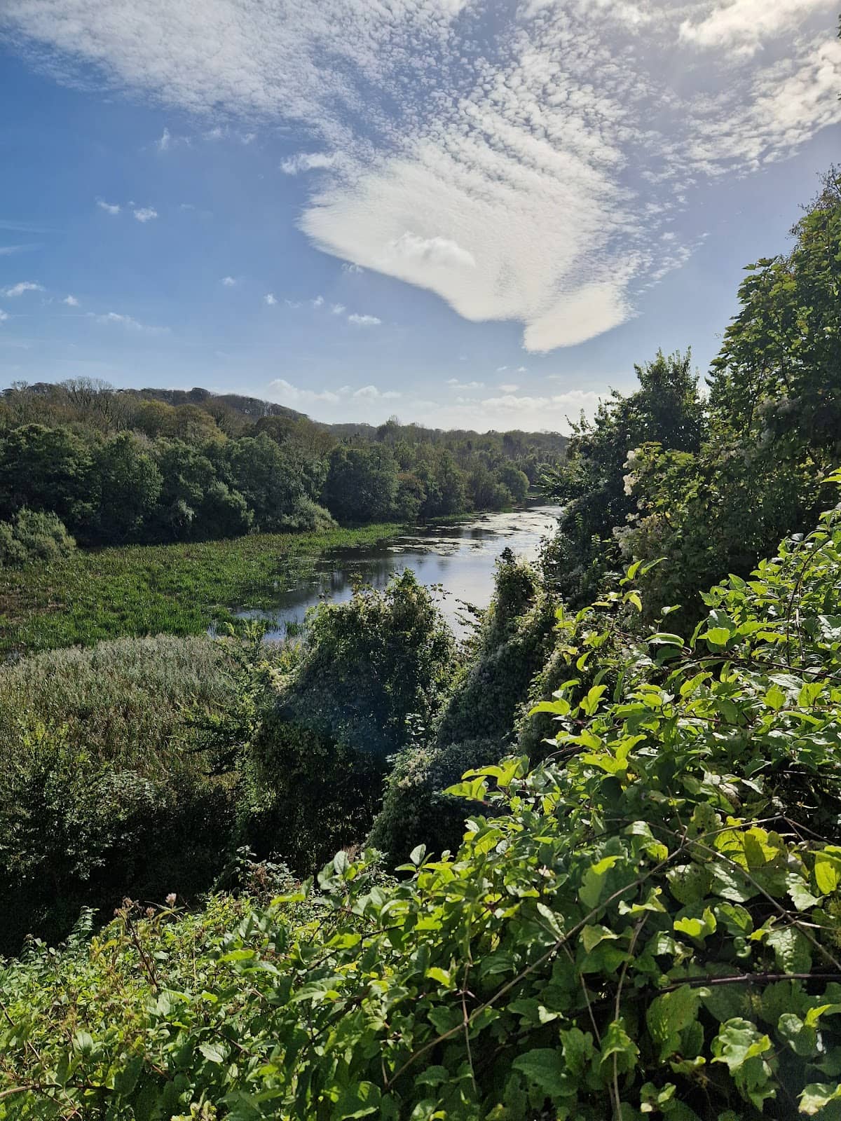 Vertical photo