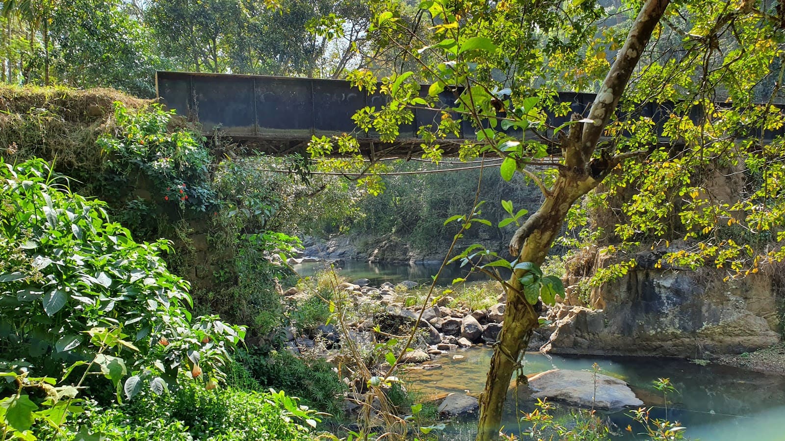 Gudalur Nilgiris - Image 1