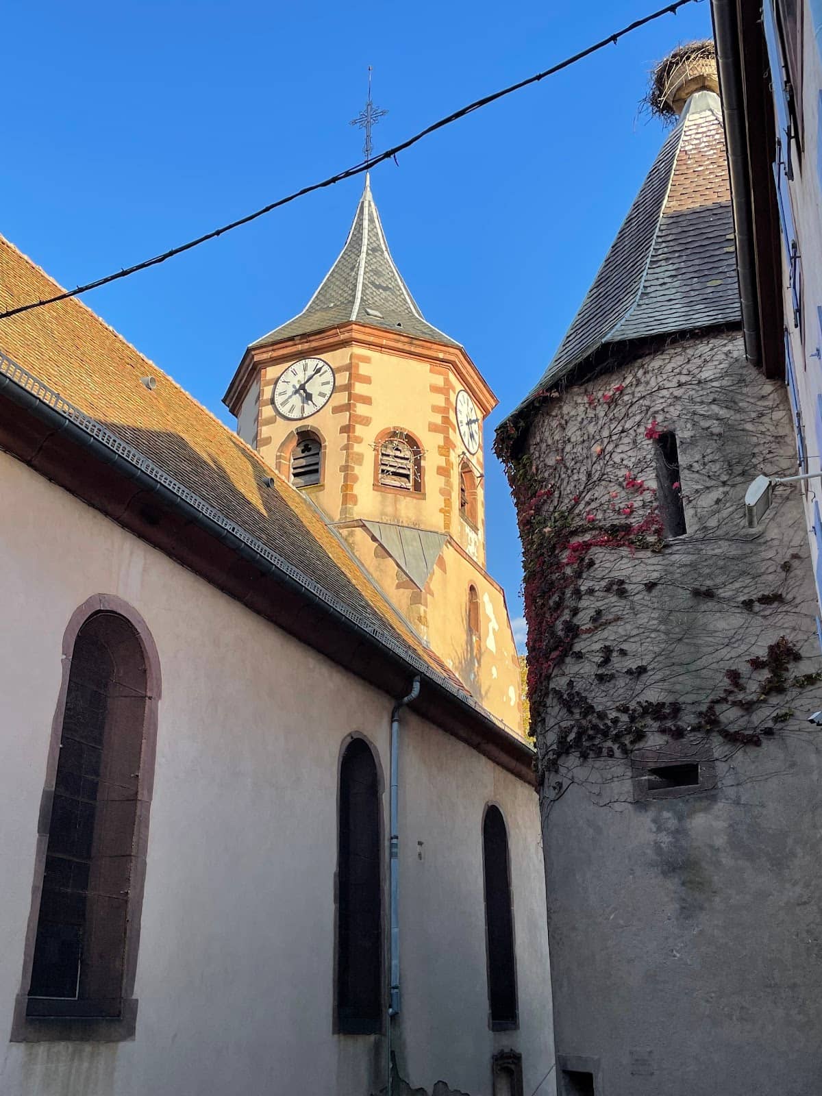 Vertical photo