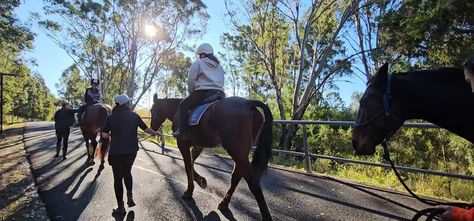 SS Equine Services - Image 1