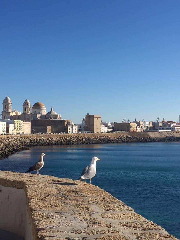 Campo del Sur Promenade - Image 1