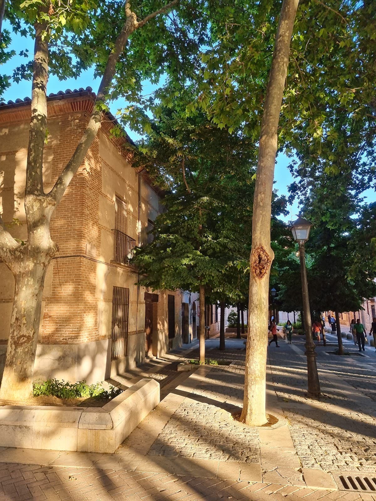 Plaza del Palacio - Image 1