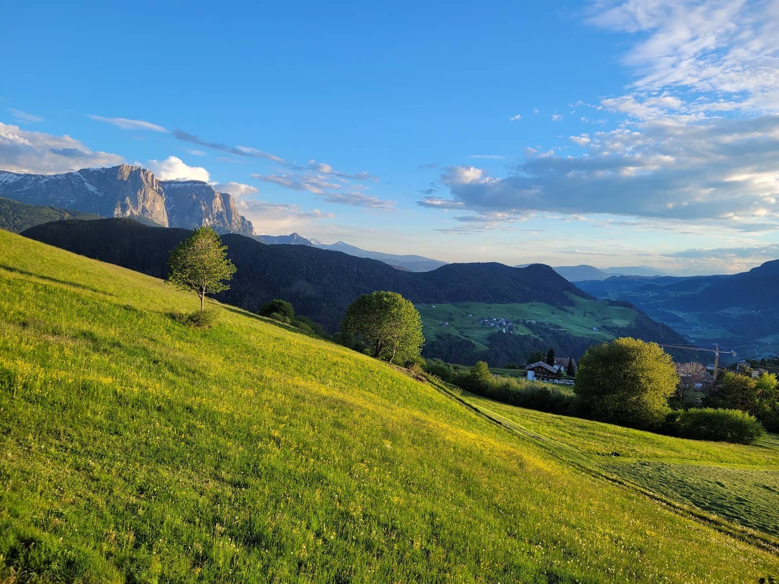 Stroller-Friendly Path