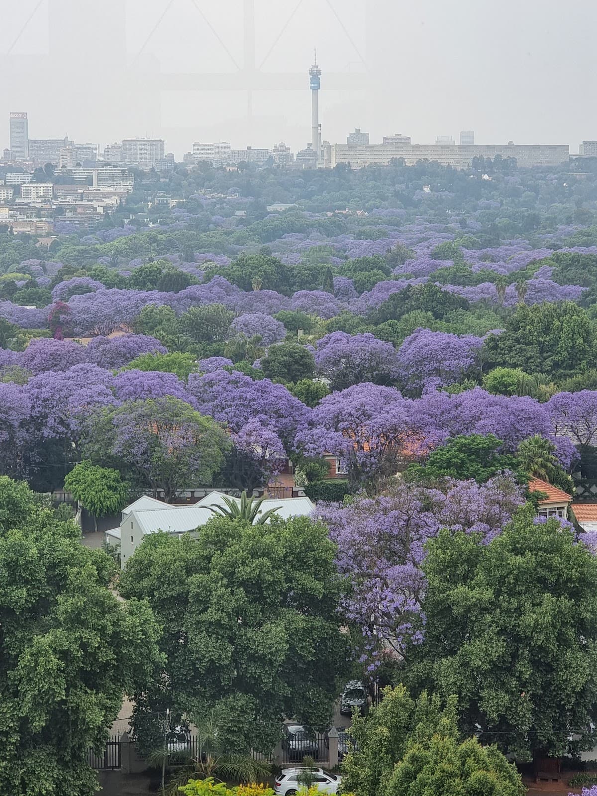 Rosebank Johannesburg - Image 1