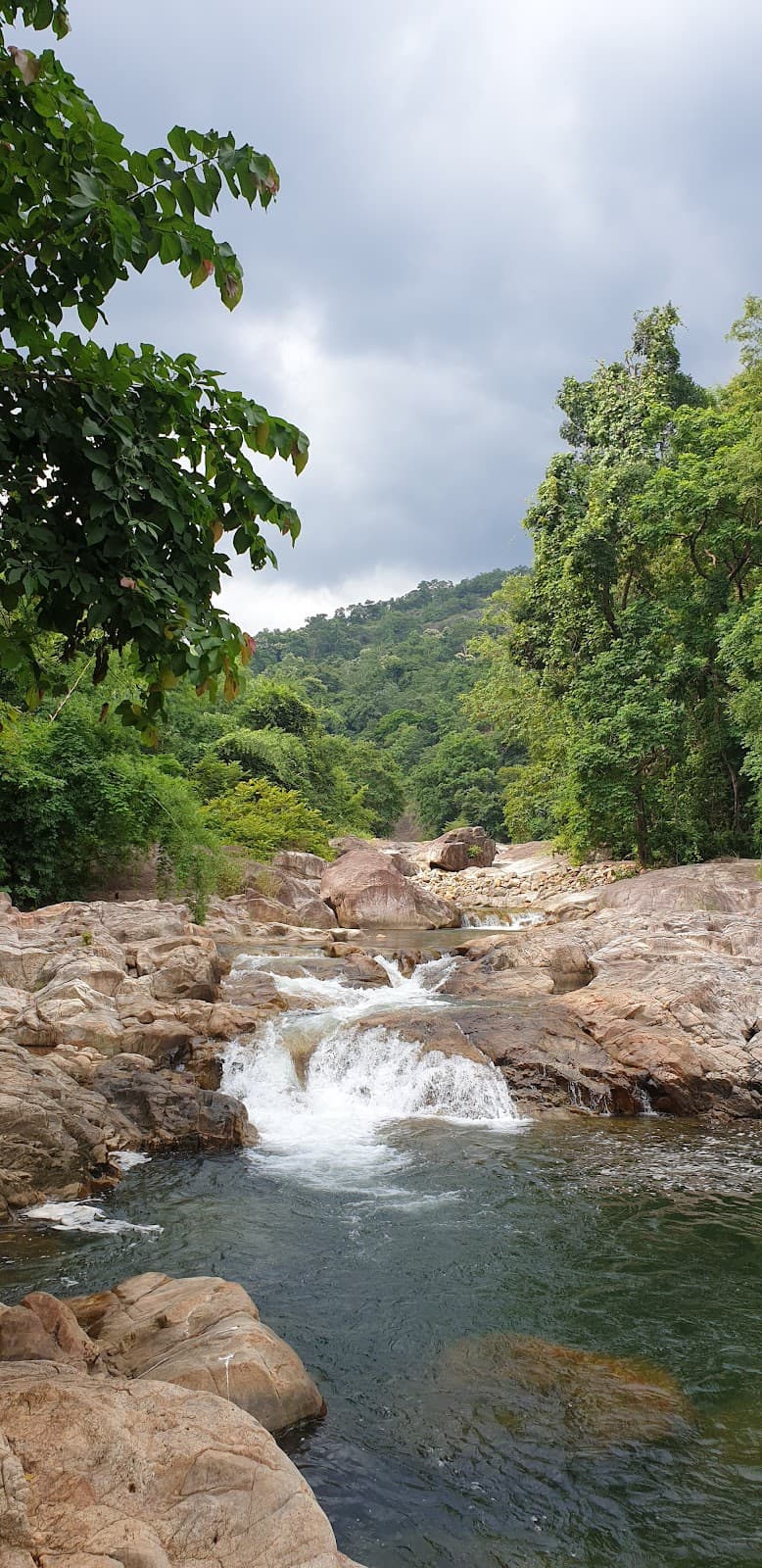 Keeriparai Reserve Forest - Image 1