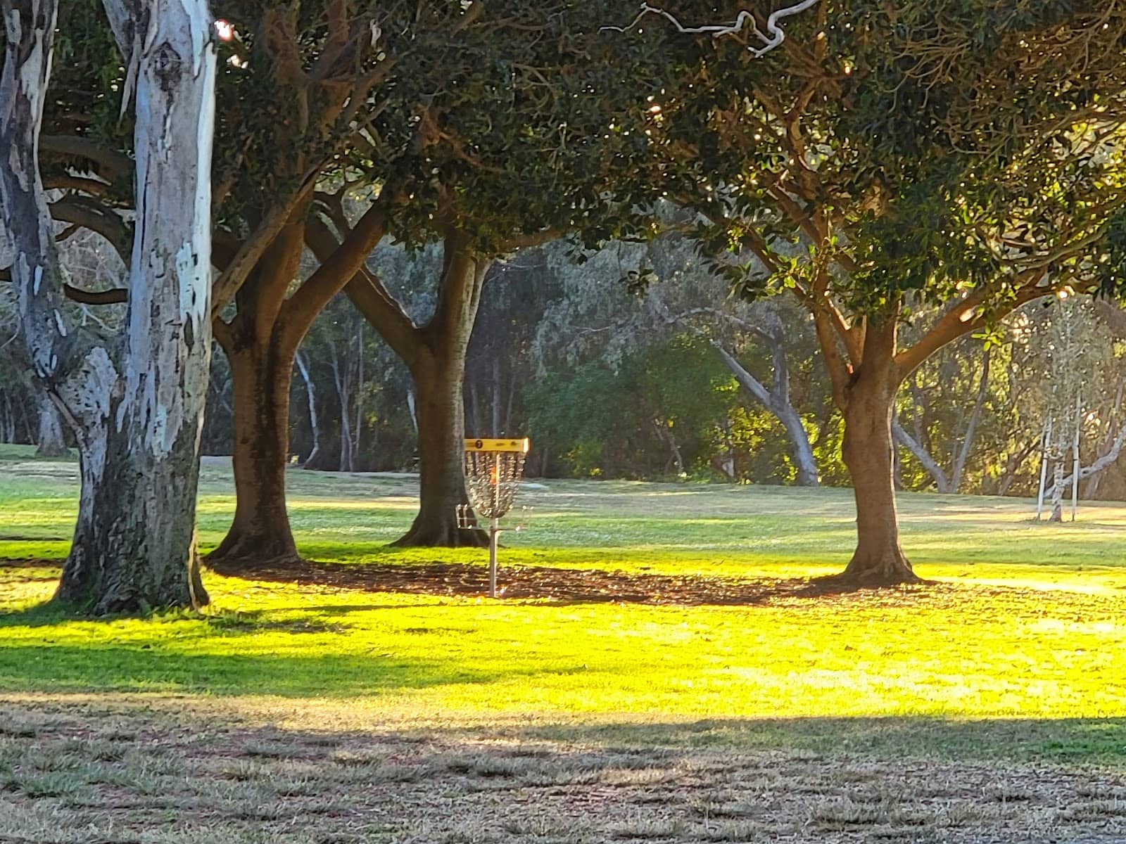 Pro Shop & Amenities