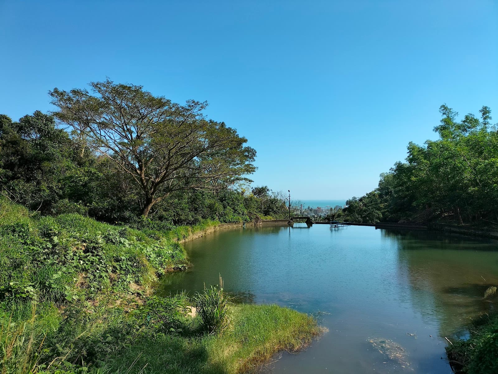 Son Tra Peninsula Da Nang - Image 1