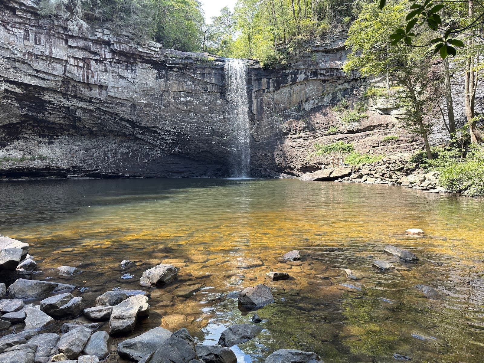 Foster Falls - Image 1
