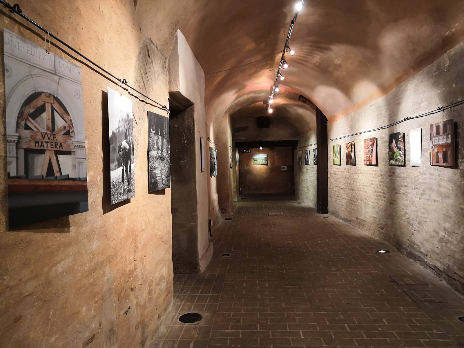 Art Exhibitions