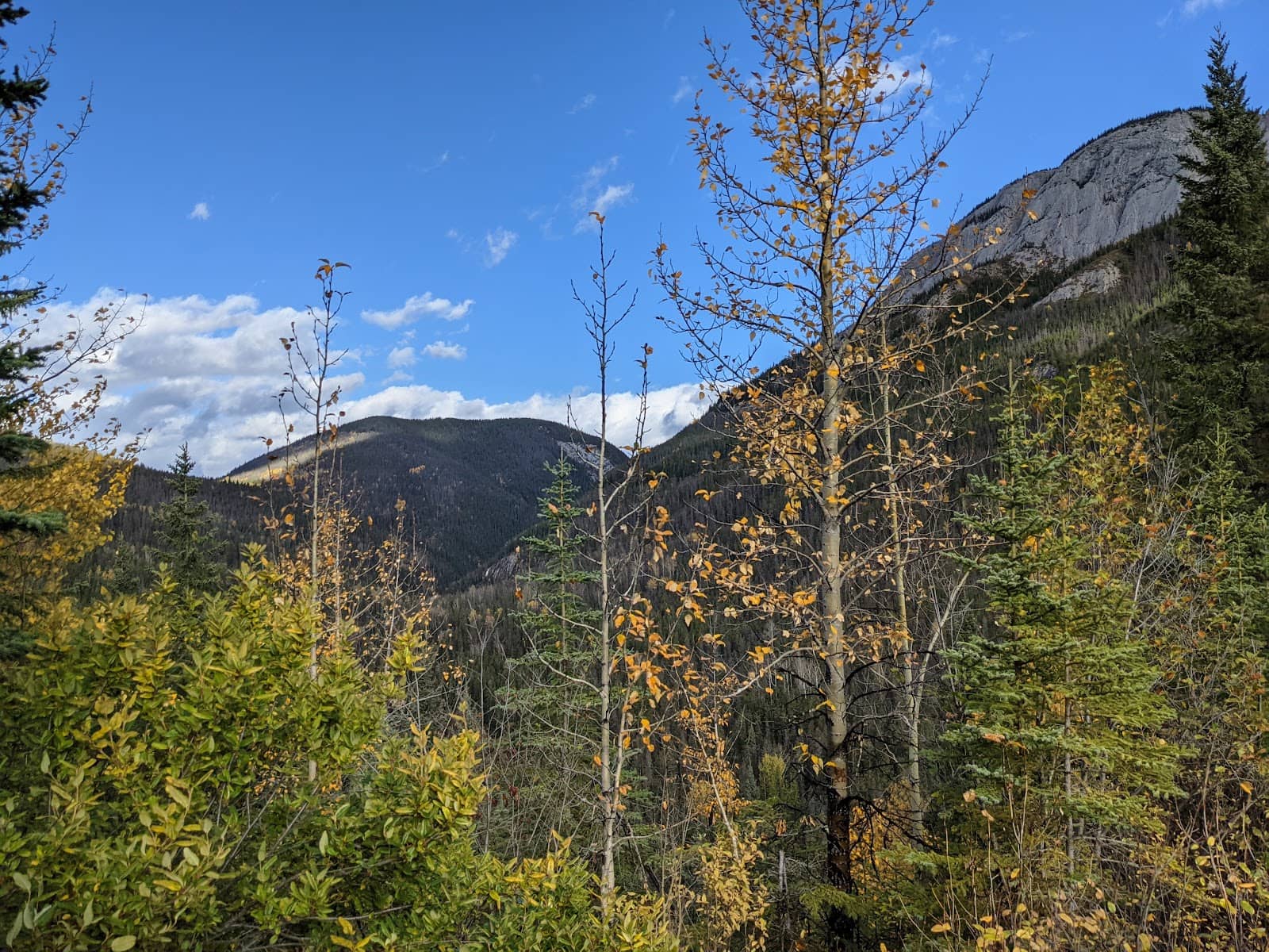 Vertical photo