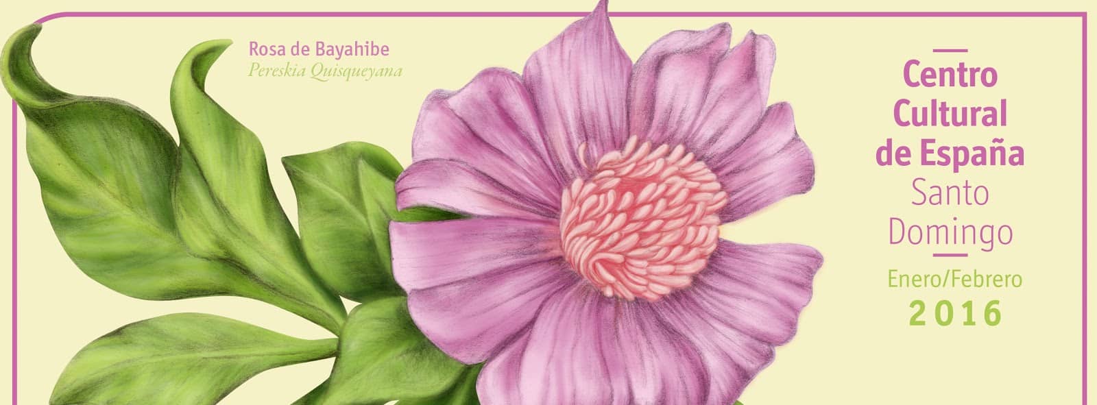 Cultural Events & Workshops