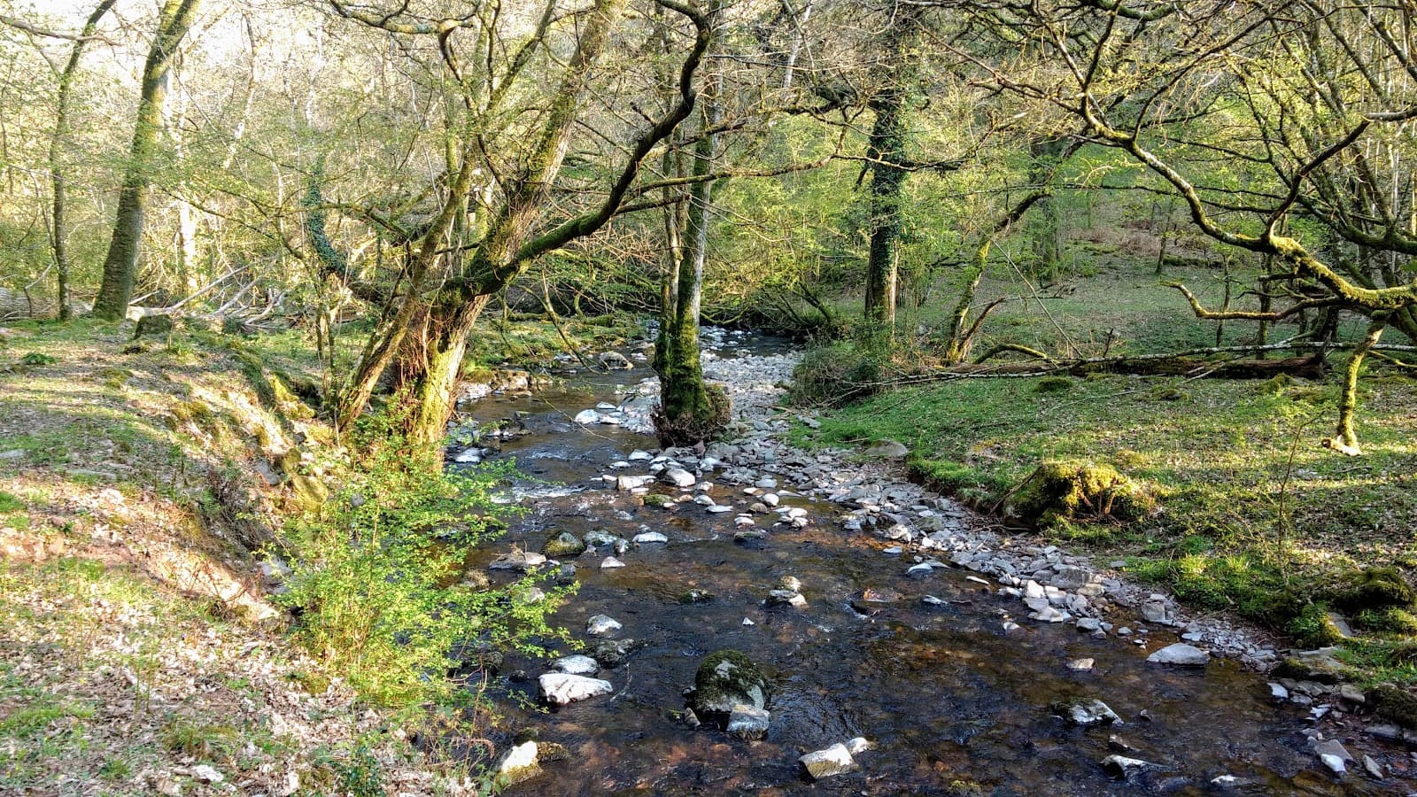 Horner Woods - Image 1