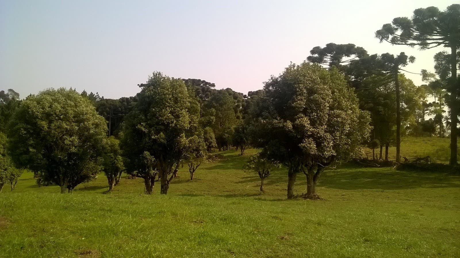 Ervateira Valério Visitor Center - Image 1