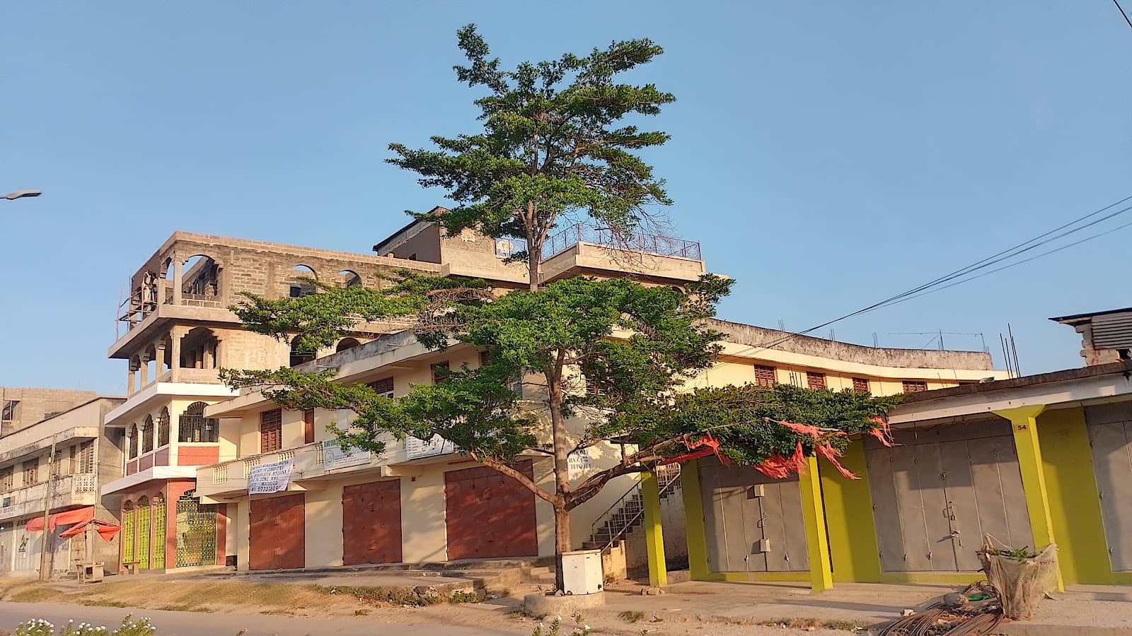 Local Flora and Fauna