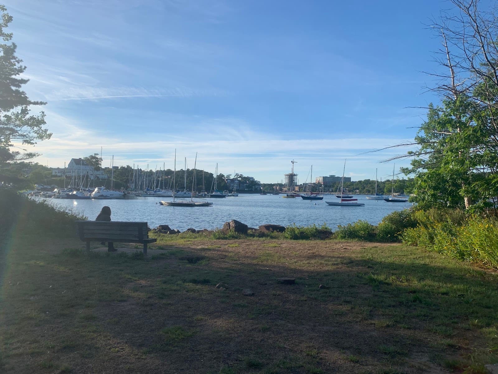 Deadman's Island Park - Image 1