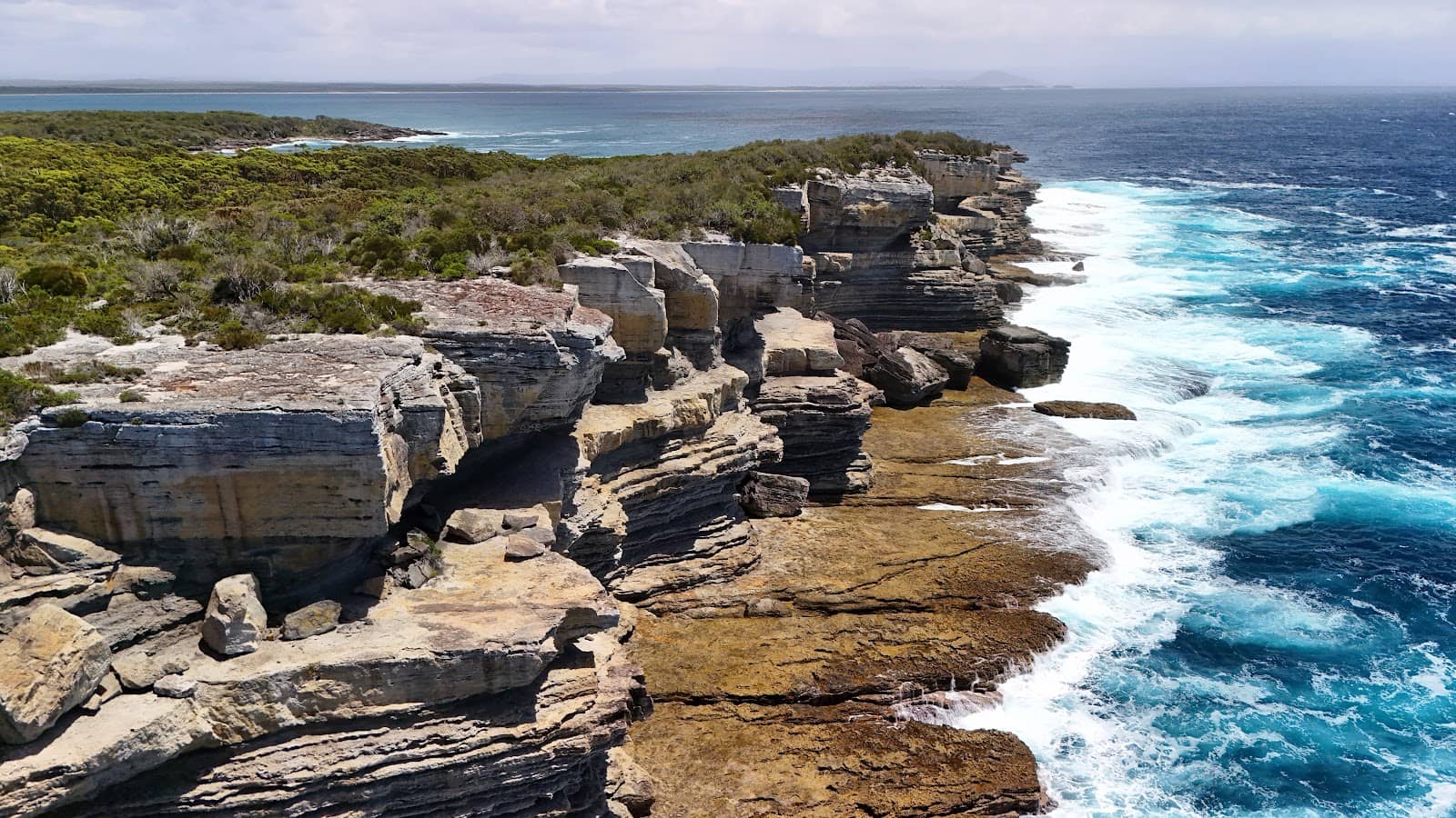 Coastal Bushwalk