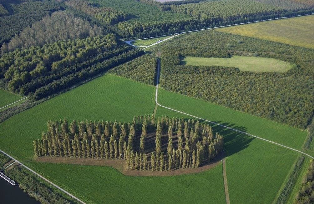 De Groene Kathedraal - Image 1