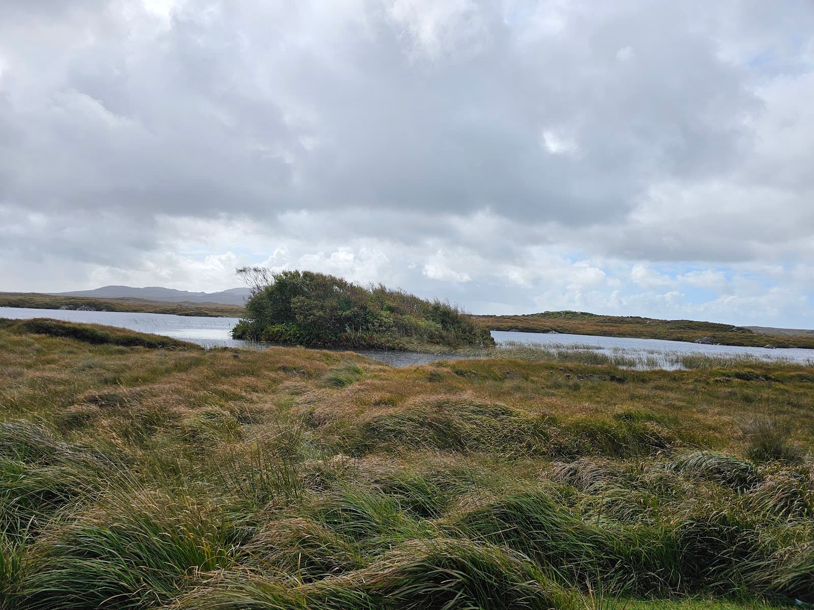 Bog Road R341 - Image 1