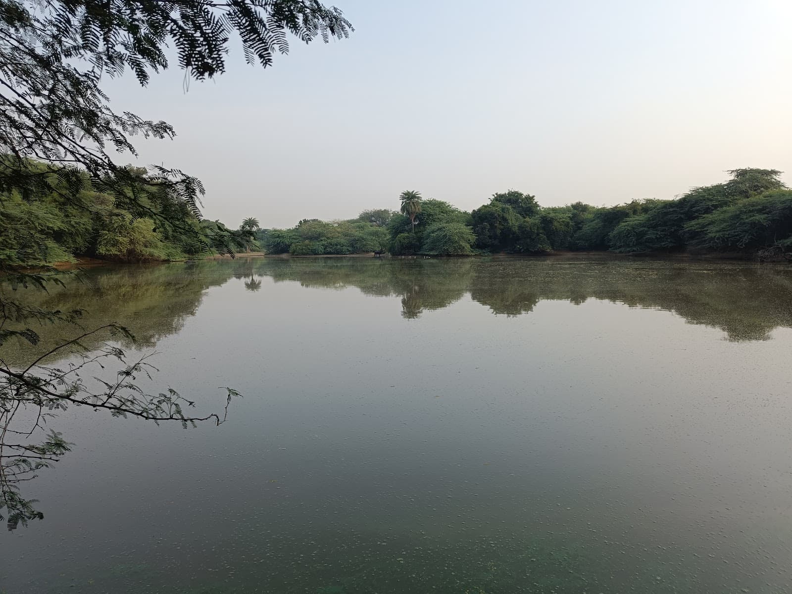 The Lost Lake Gurgaon - Image 1