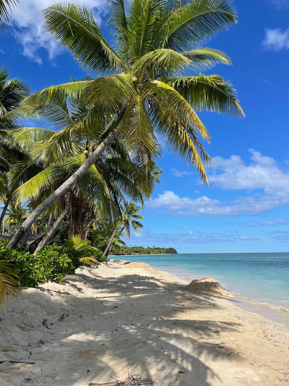 Coral Reefs & Marine Life