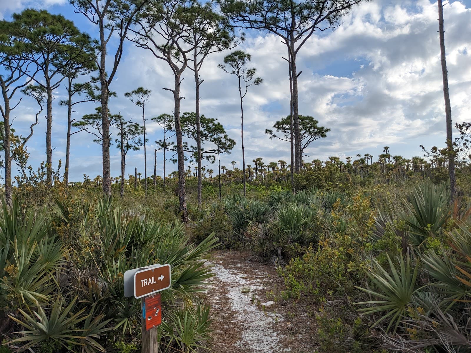 Seabranch Preserve State Park - Image 1