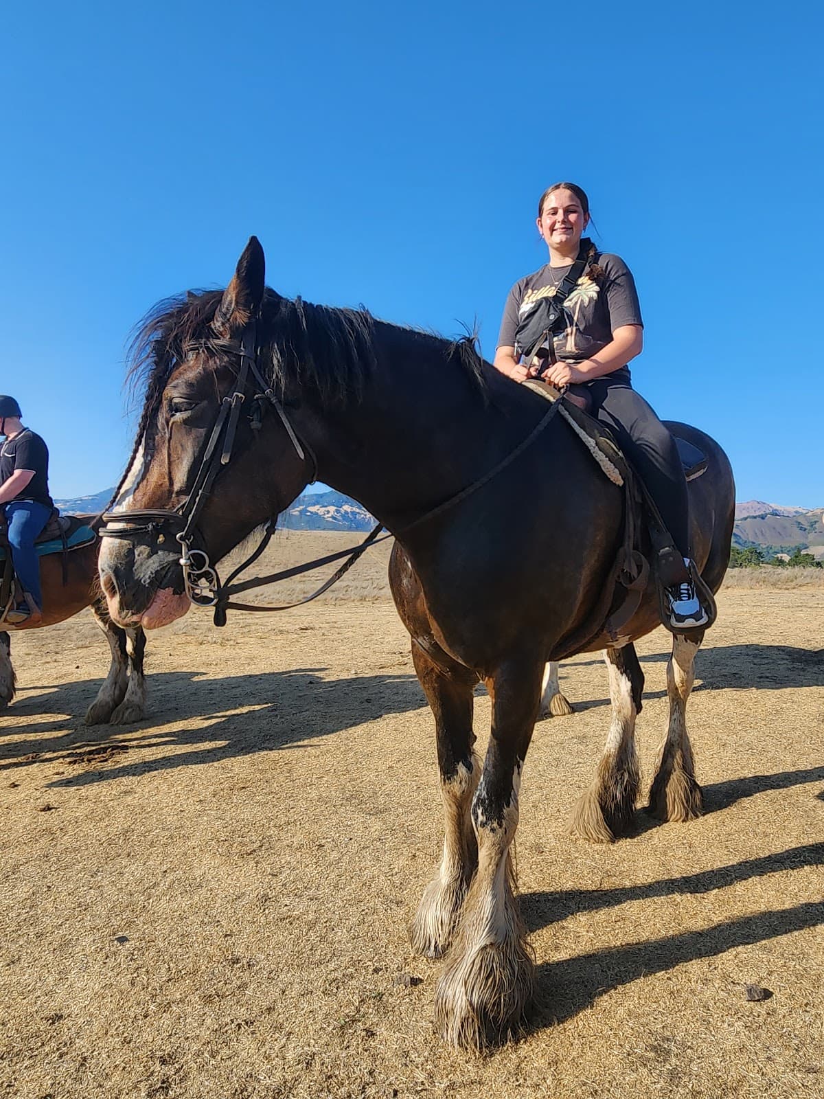 Covell Clydesdale Ranch - Image 1