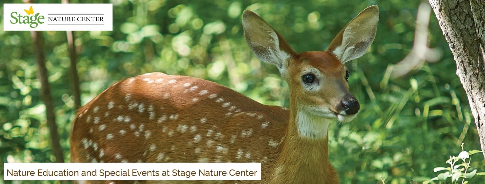 Stage Nature Center - Image 1