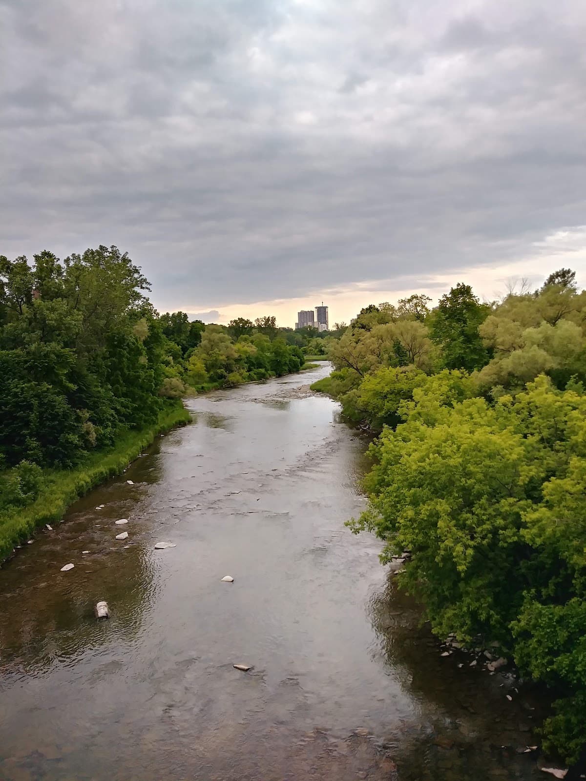 Trinity Bellwoods - Image 1