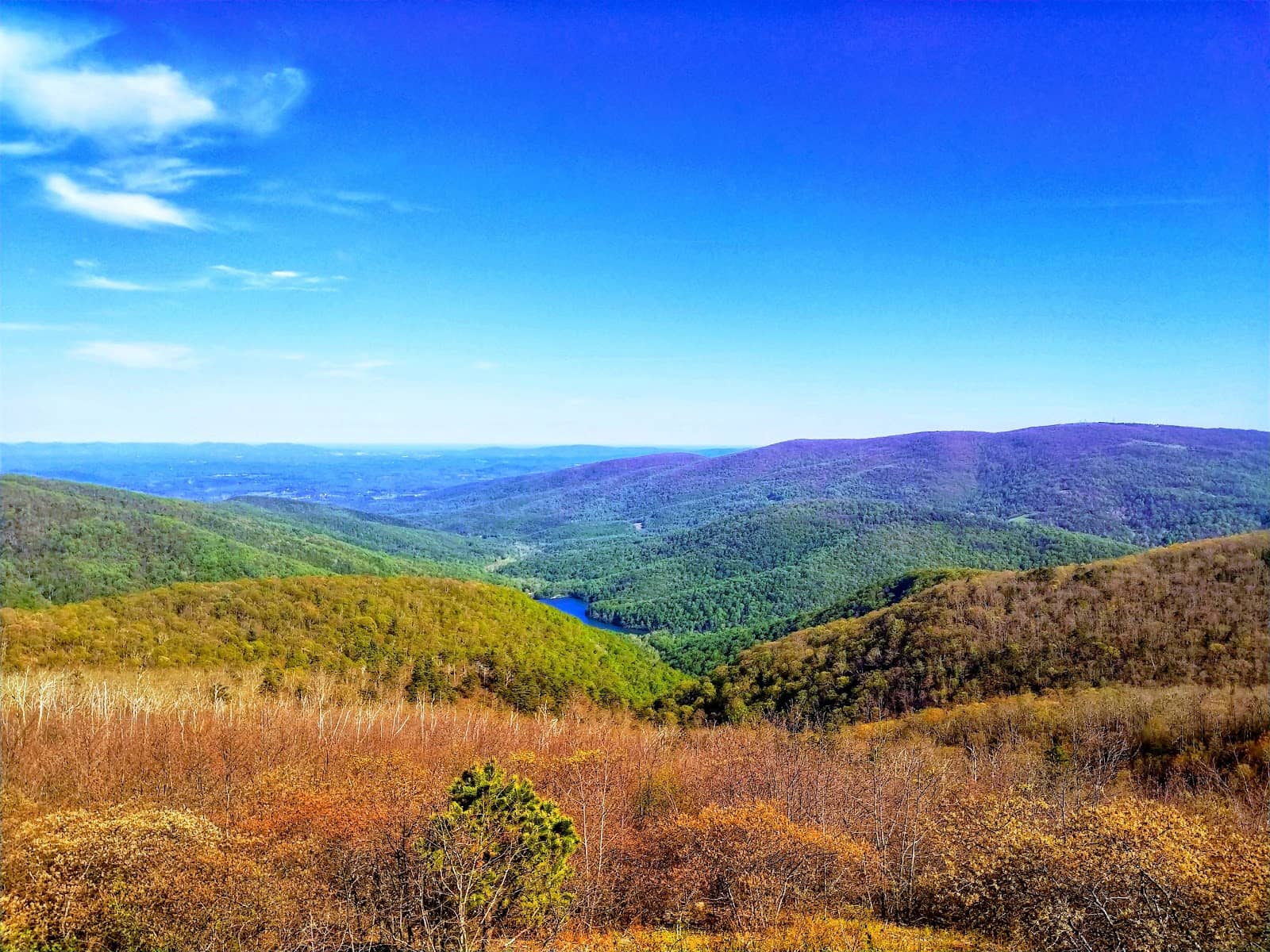 Autumn Foliage Spectacle