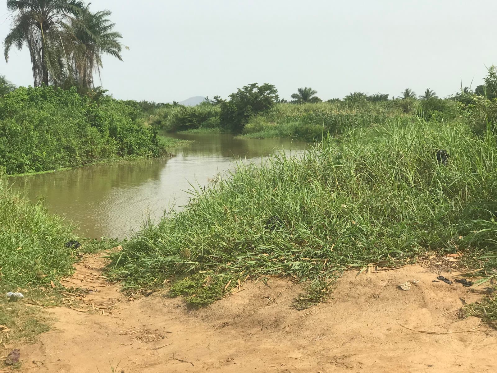 Densu Delta Ramsar Site - Image 1