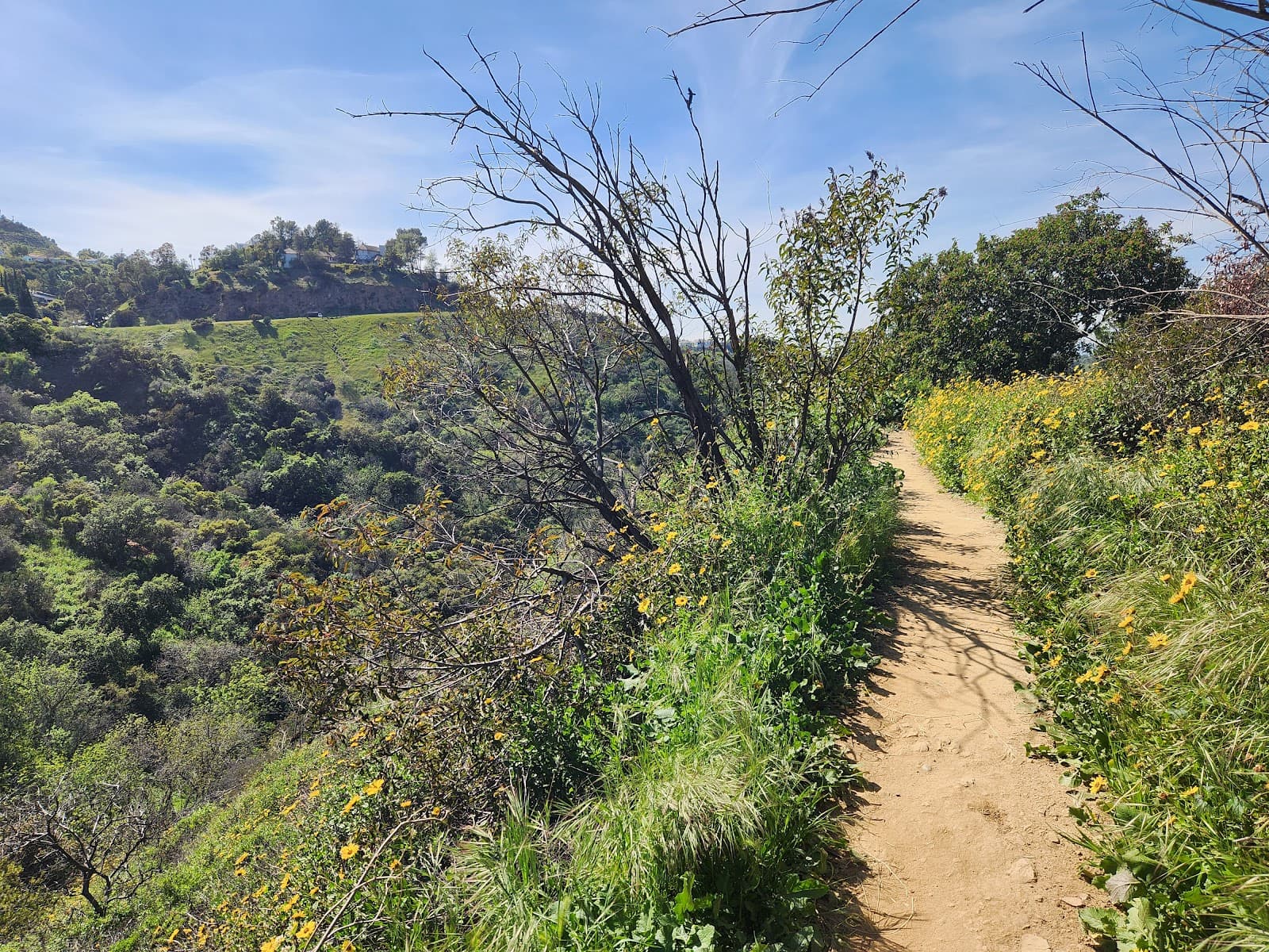 Fryman Canyon Park Los Angeles - Image 1