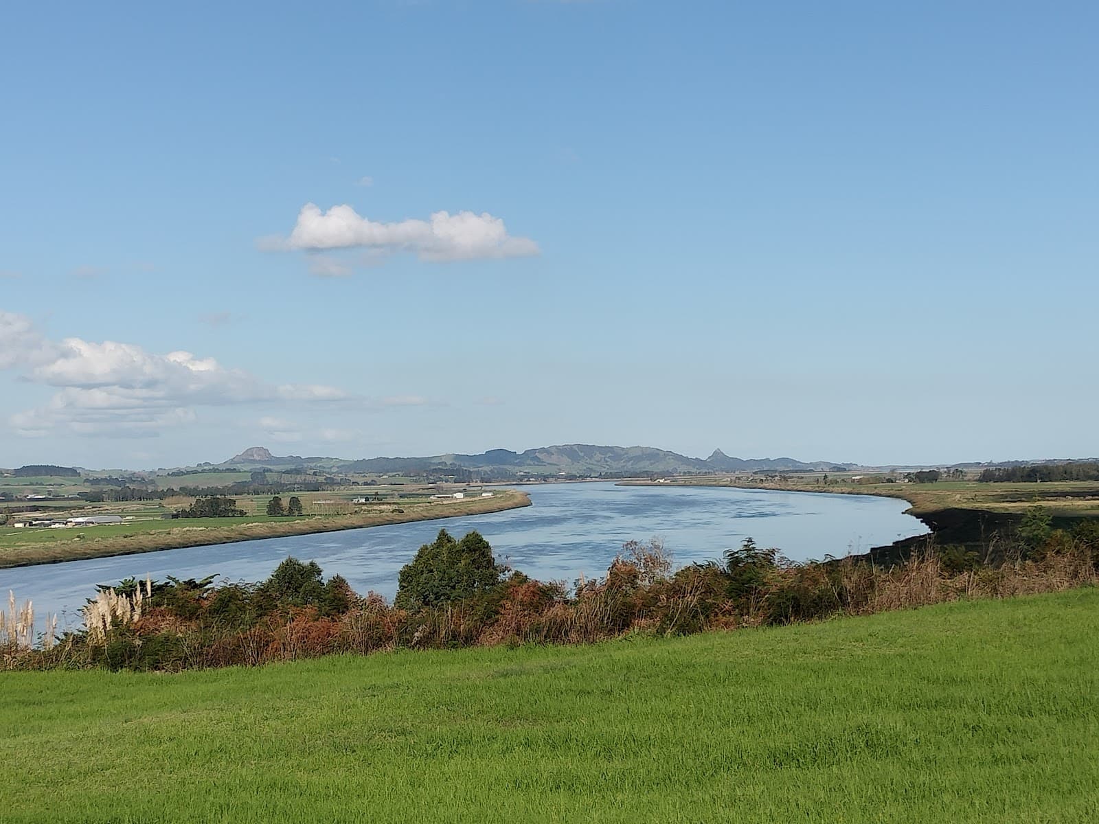 Pou Tu Te Rangi Harding Park - Image 1