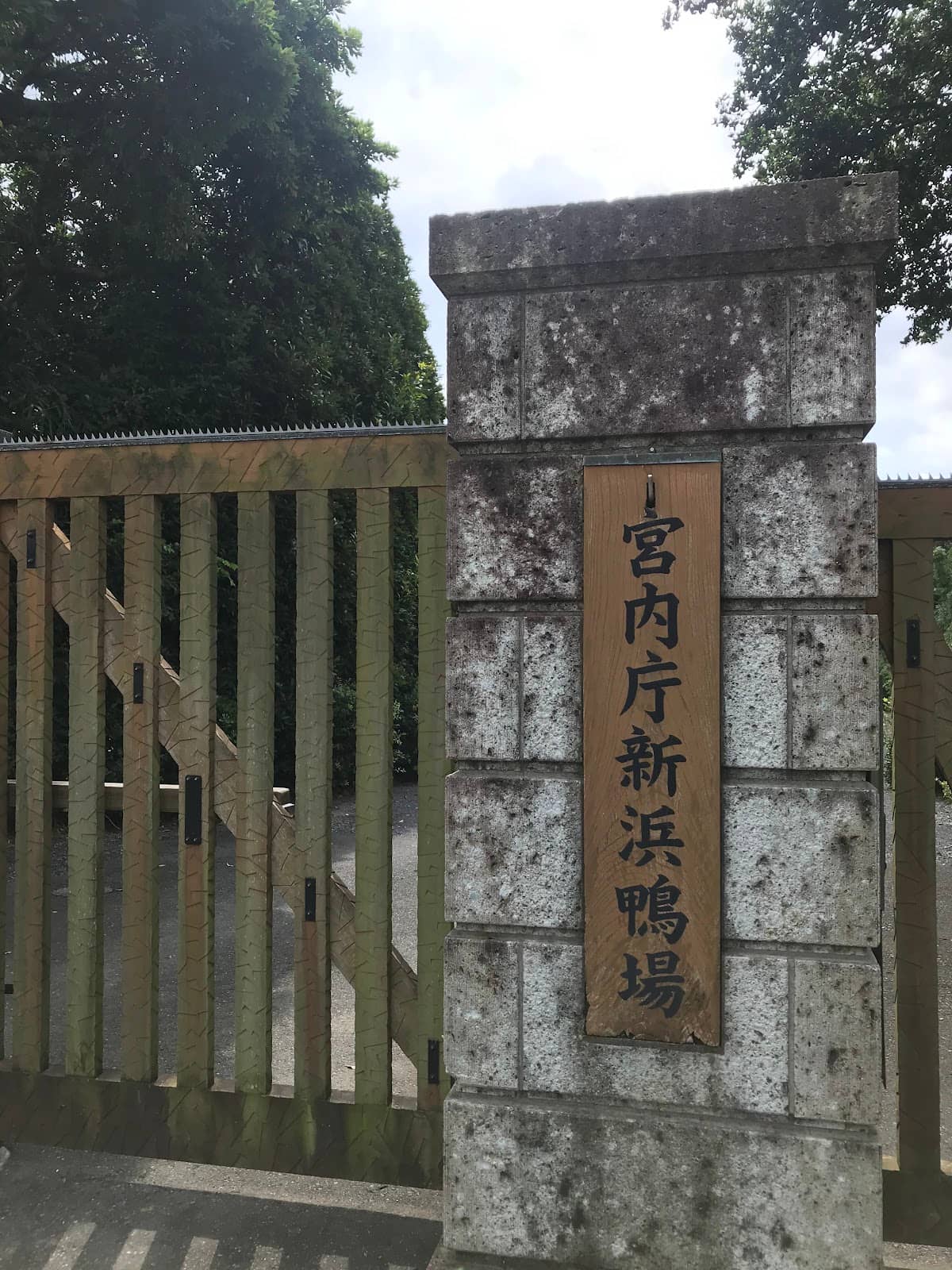 Vertical photo