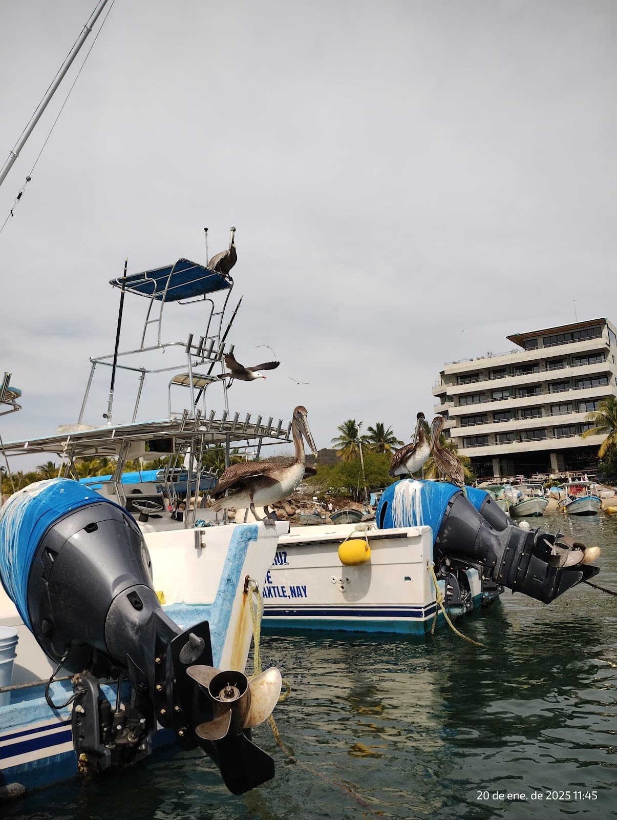 Punta de Mita El Anclote - Image 1