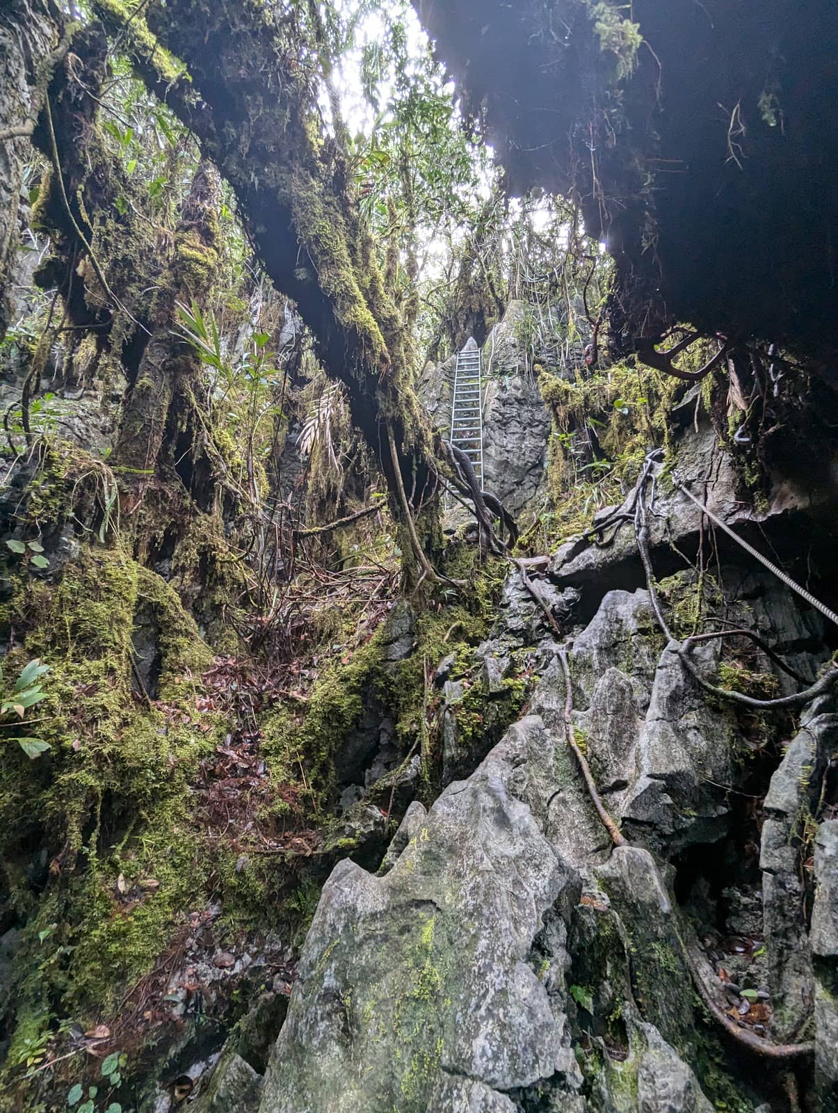 Vertical photo