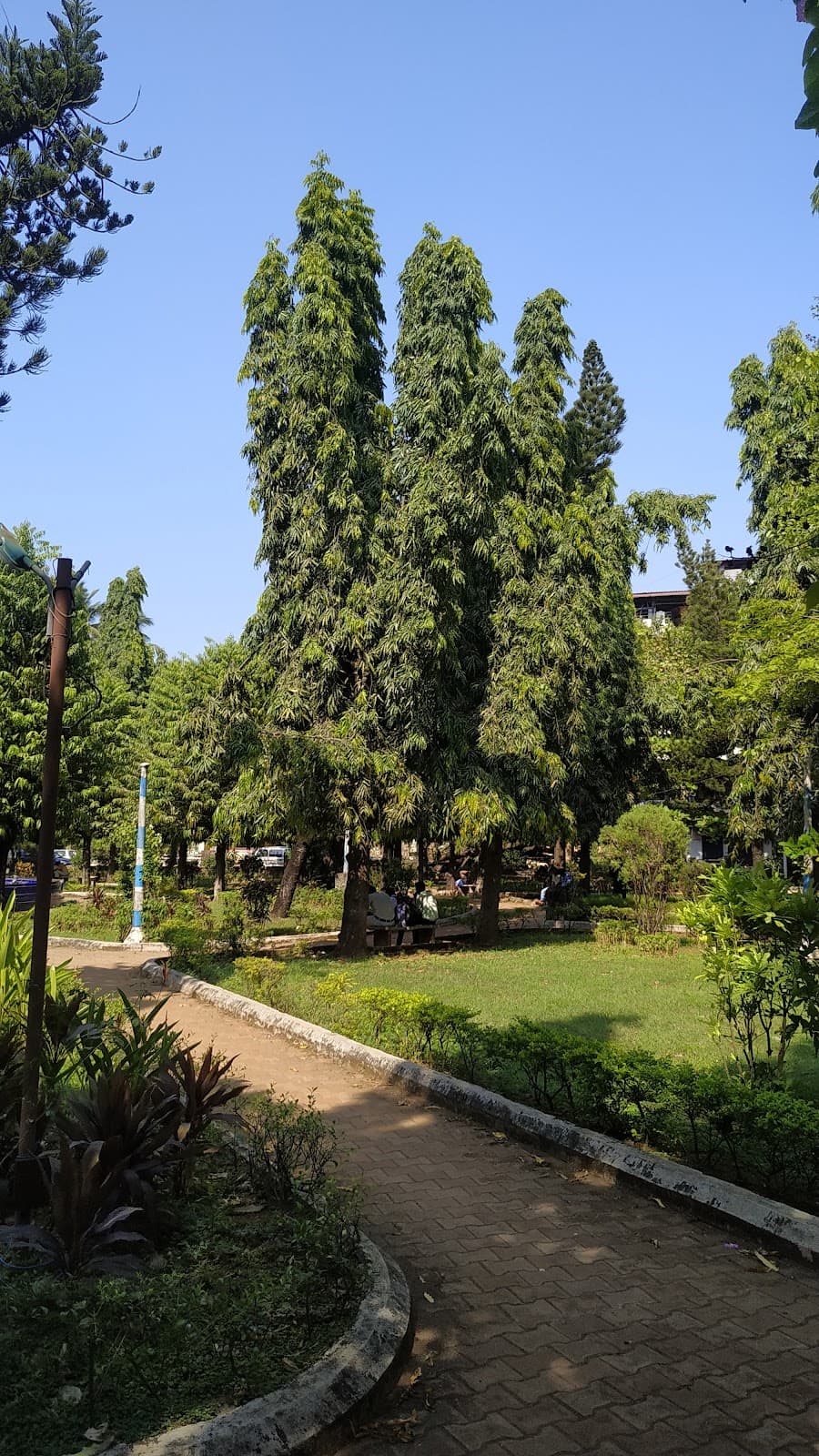 Vasco Municipal Garden - Image 1